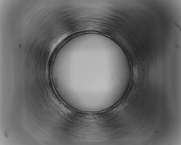 X0000103400780200809261618