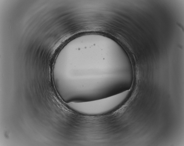 X0000103400781200809261618