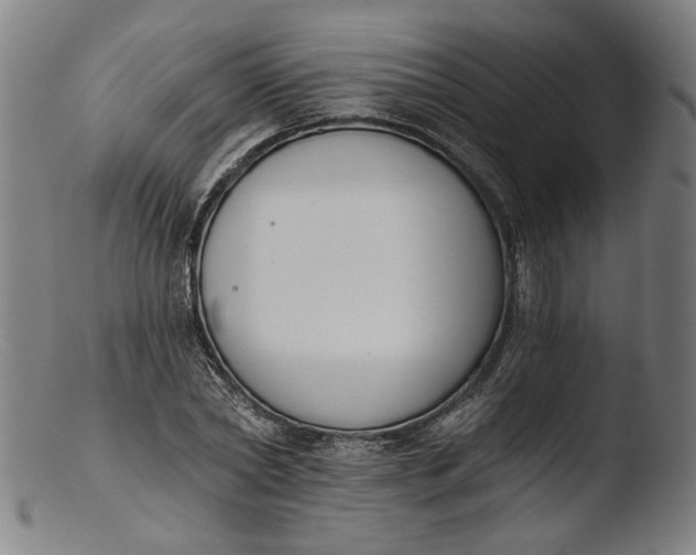 X0000103400782200809261618