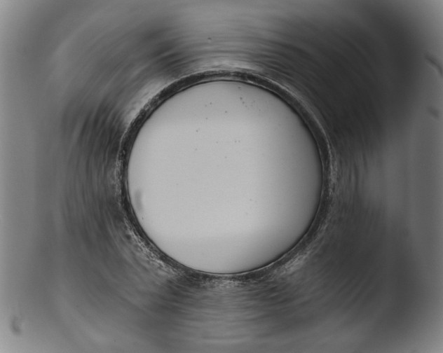 X0000103400783200809261618