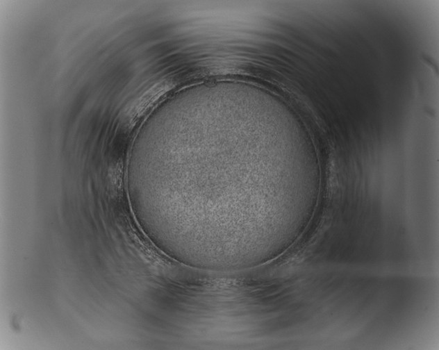 X0000103400785200809261618