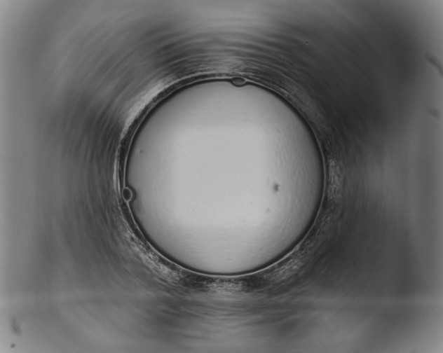 X0000103400788200809261618