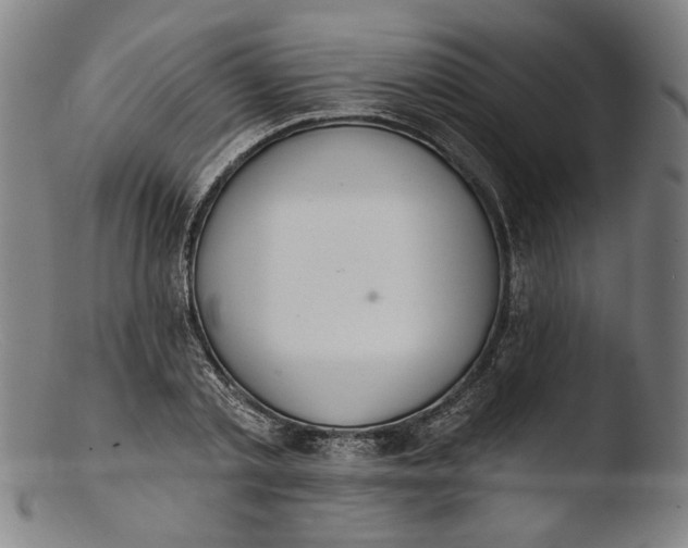 X0000103400789200809261618