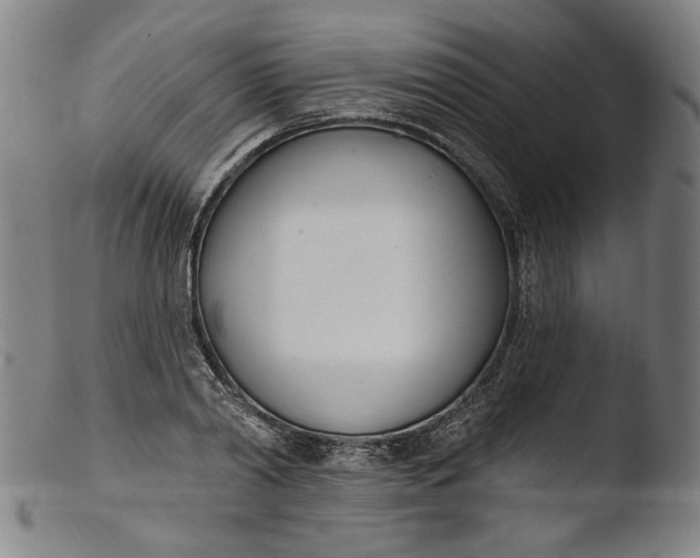 X0000103400790200809261618