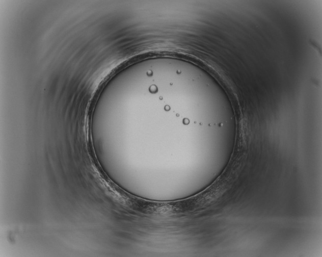 X0000103400791200809261618