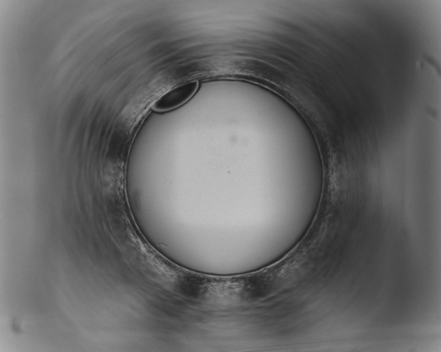 X0000103400793200809261618