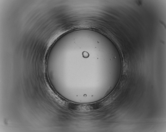 X0000103400795200809261618