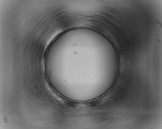 X0000103400796200809261618