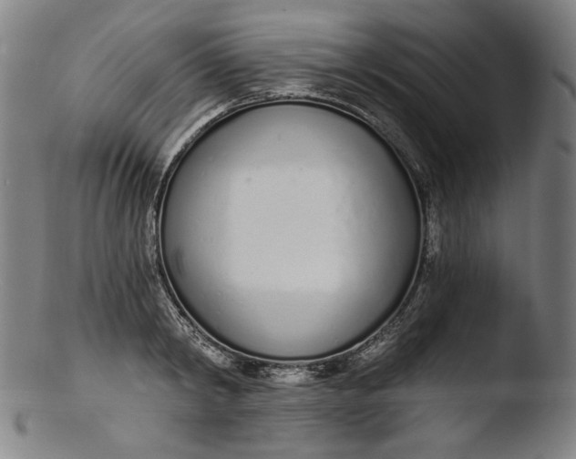 X0000103400798200809261618