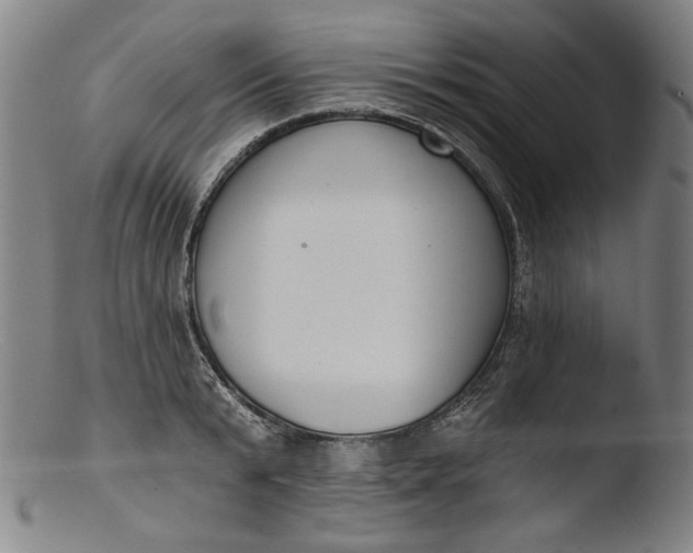 X0000103400799200809261618