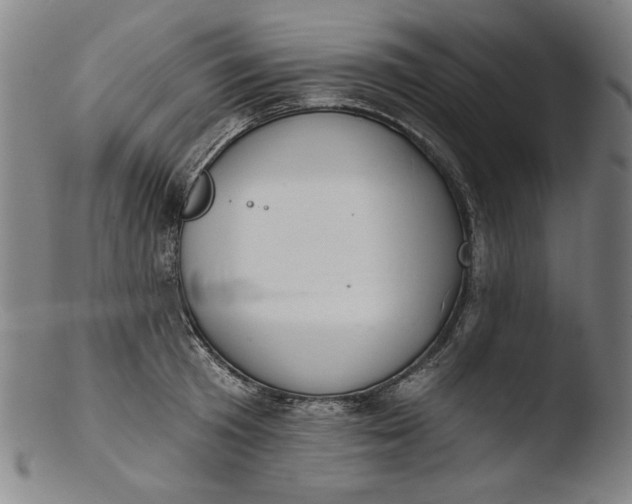 X0000103400801200809261618