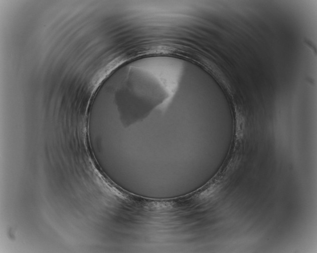 X0000103400802200809261618