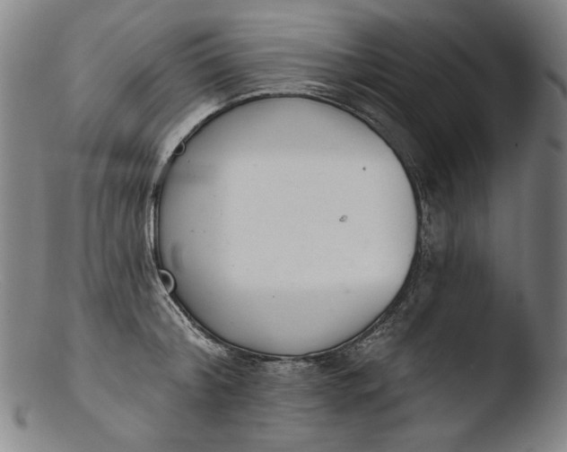 X0000103400804200809261618