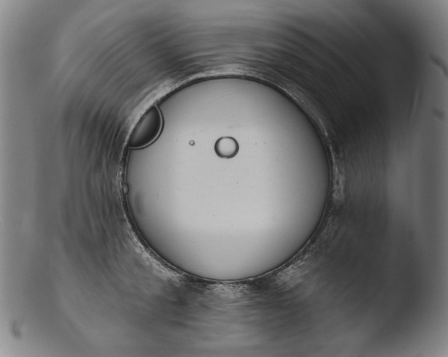 X0000103400805200809261618