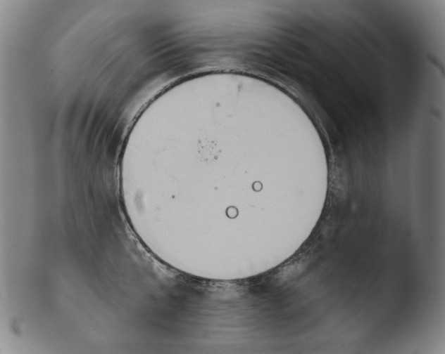 X0000103400807200809261618