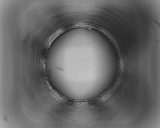 X0000103400809200809261618