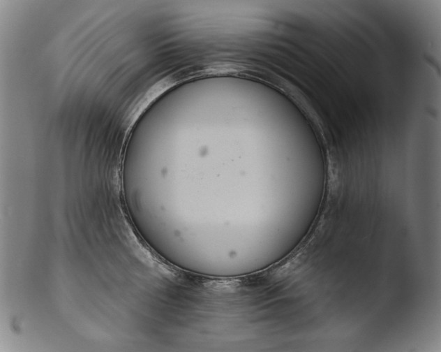 X0000103400810200809261618