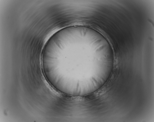 X0000103400811200809261618