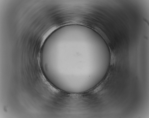 X0000103400812200809261618