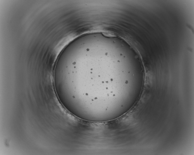 X0000103400813200809261618