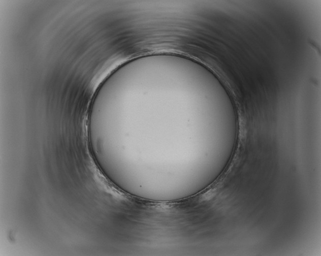 X0000103400814200809261618