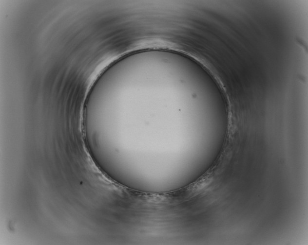 X0000103400815200809261618