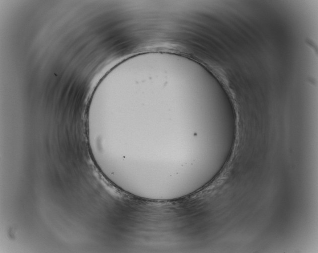 X0000103400816200809261618