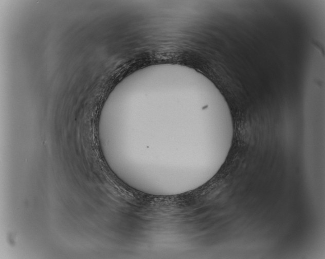 X0000103400817200809261617