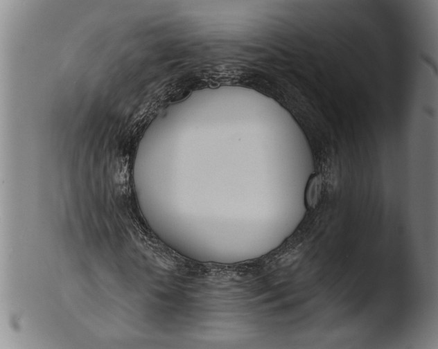 X0000103400818200809261617