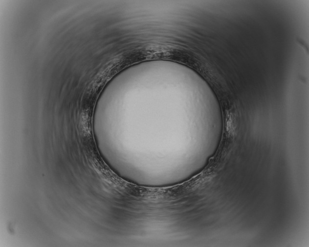 X0000103400819200809261617