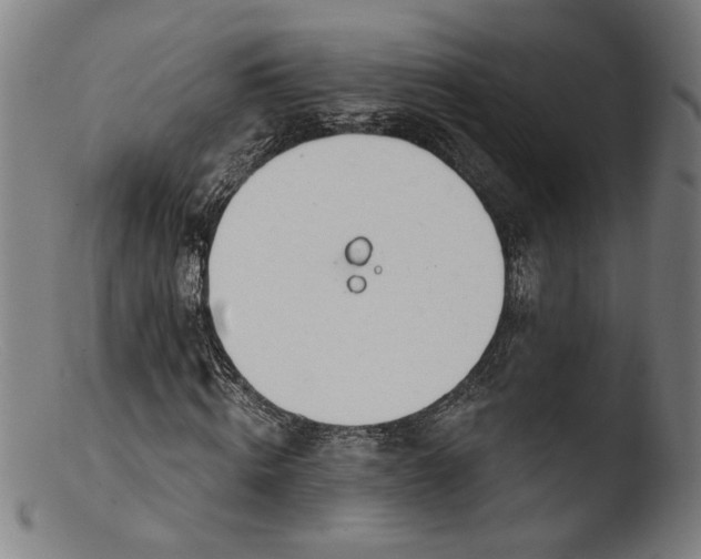 X0000103400820200809261617