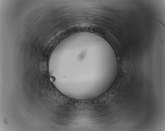 X0000103400821200809261617