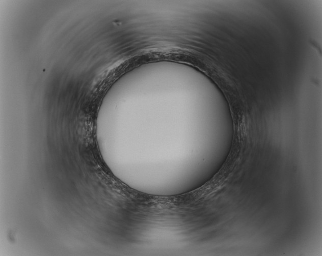 X0000103400822200809261617