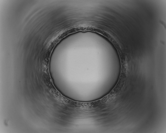 X0000103400823200809261617