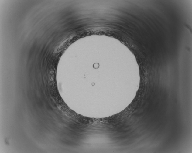 X0000103400824200809261617