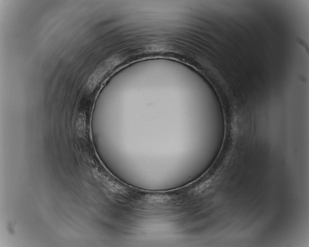 X0000103400825200809261617