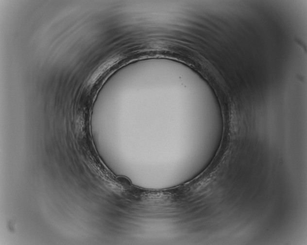 X0000103400826200809261617