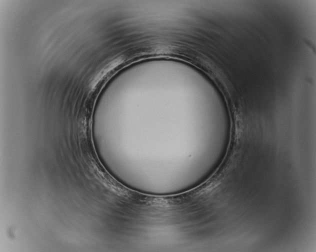 X0000103400827200809261617