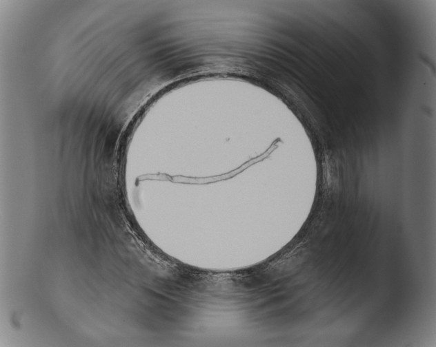 X0000103400828200809261617