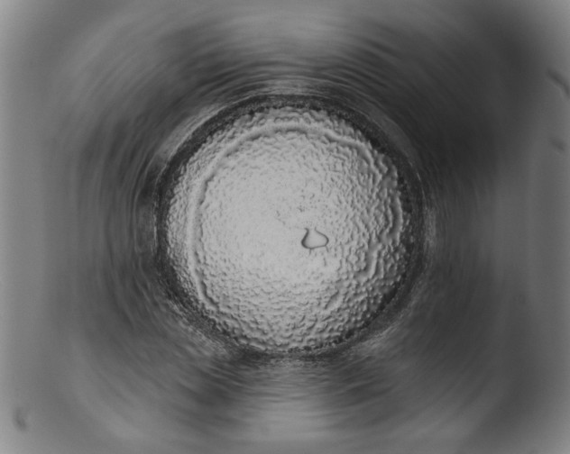 X0000103400829200809261617