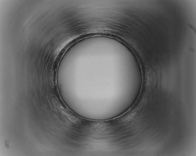 X0000103400830200809261617