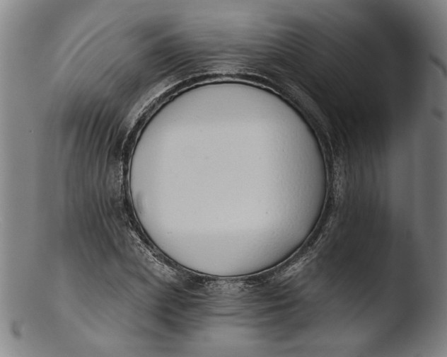 X0000103400831200809261617