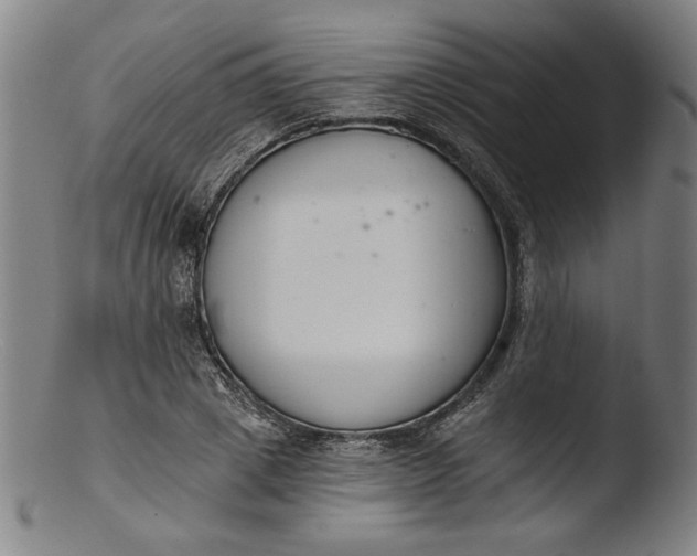 X0000103400833200809261617