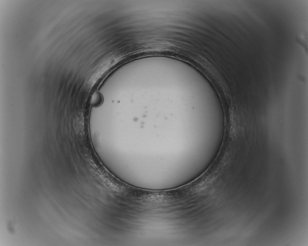 X0000103400834200809261617