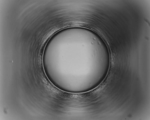 X0000103400835200809261617