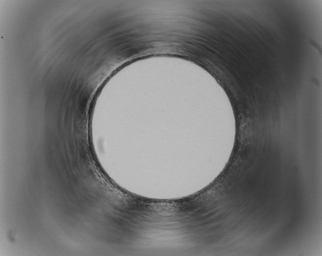 X0000103400836200809261617