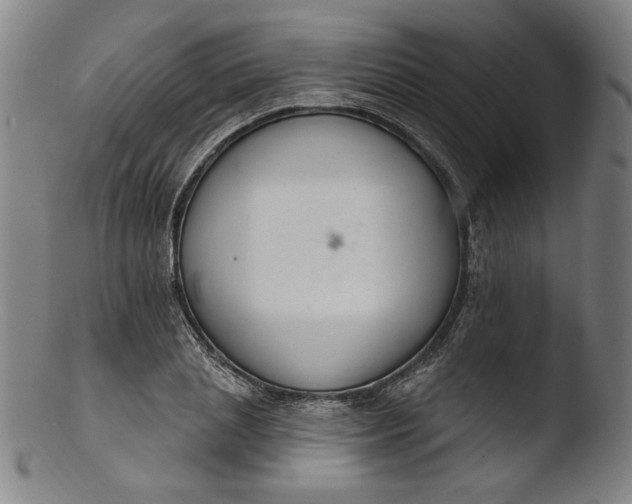 X0000103400837200809261617