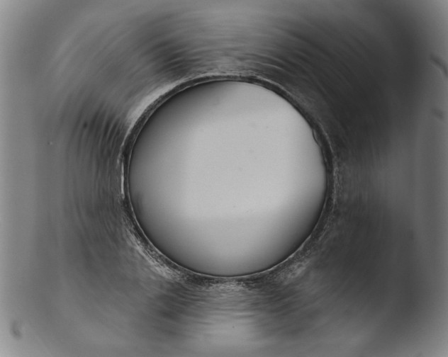 X0000103400838200809261617