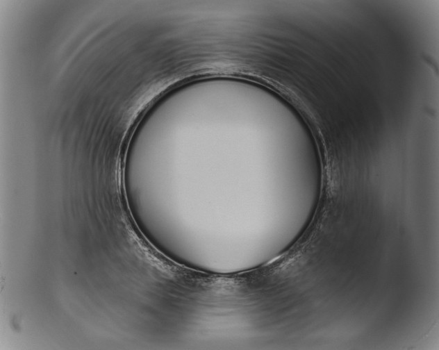 X0000103400839200809261617