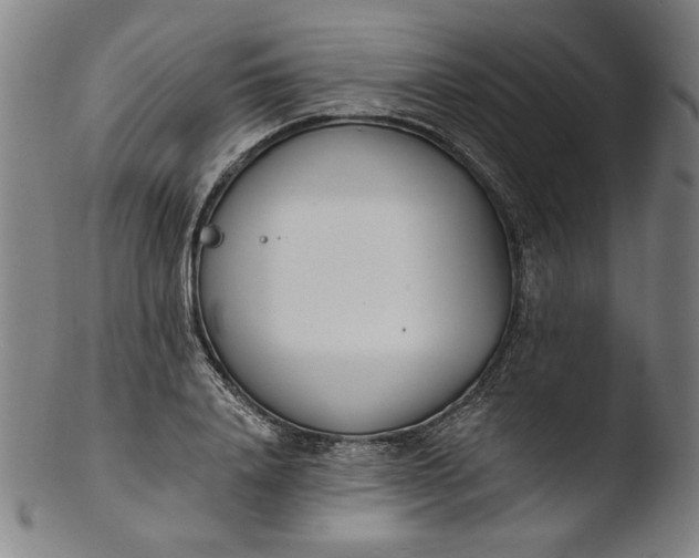 X0000103400840200809261617